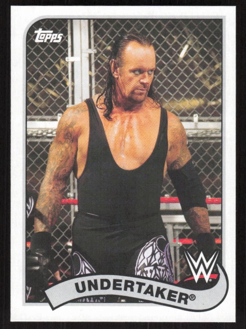 🔥NOW $1🔥 Undertaker 2018 Topps WWE Wrestling Card